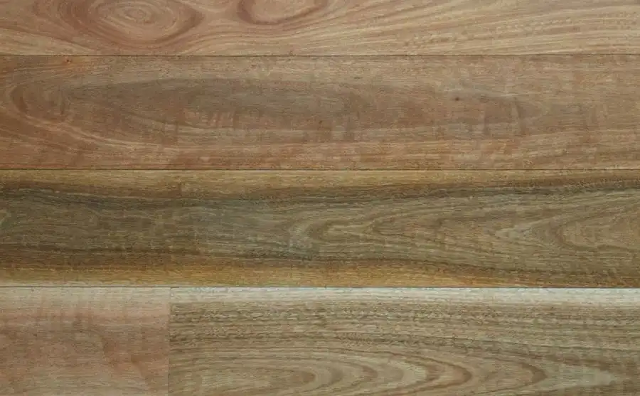 NSW Spotted Gum